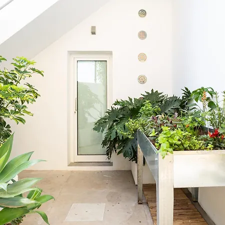 Apartamento Sol 公寓 *